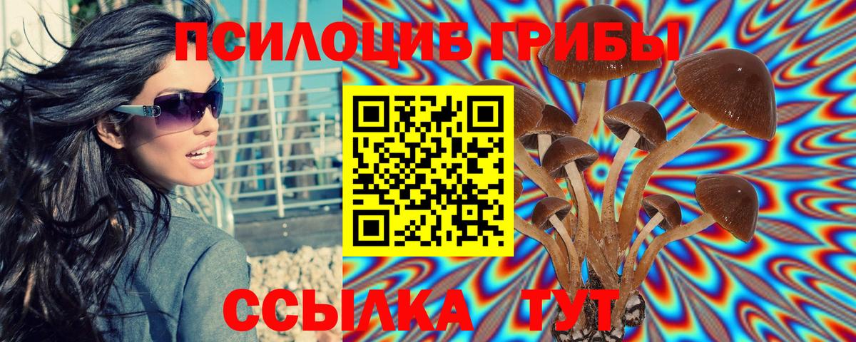 Псилоцибиновые грибы GOLDEN TEACHER Астрахань
