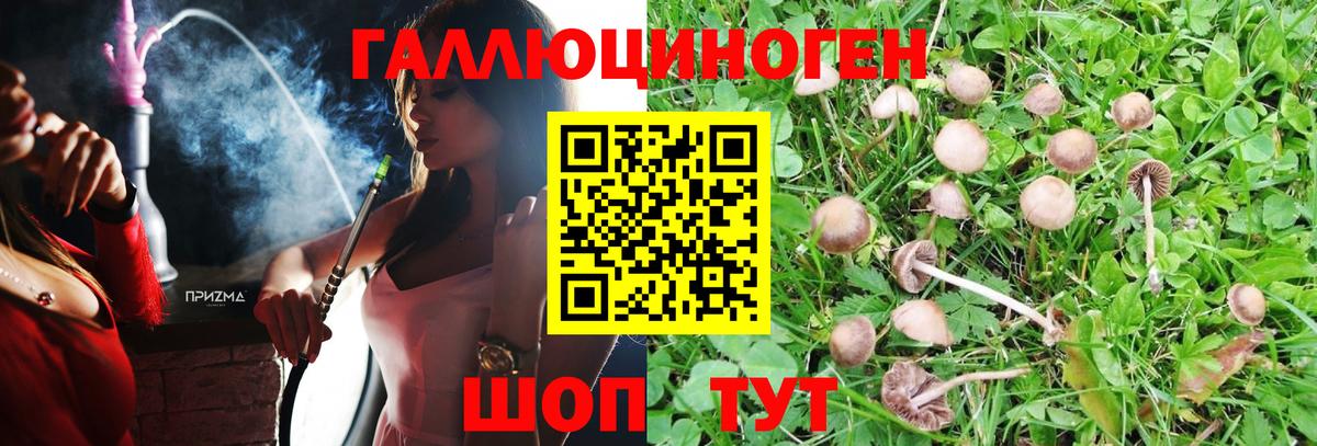 Астрахань  Псилоцибиновые грибы GOLDEN TEACHER  Вход с VPN 